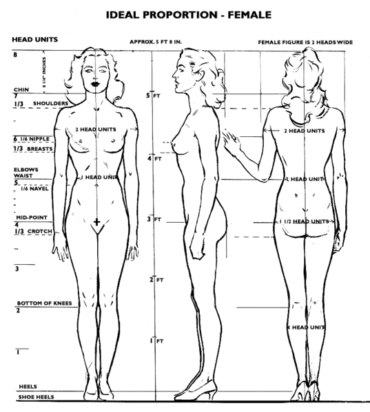 File:Ideal proportions female.gif