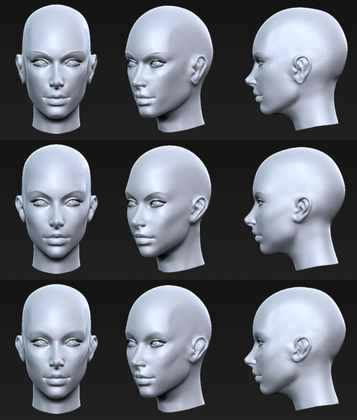 File:Head analysis 2.gif