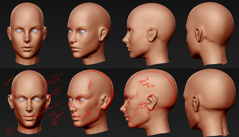 File:Head analysis 1.png