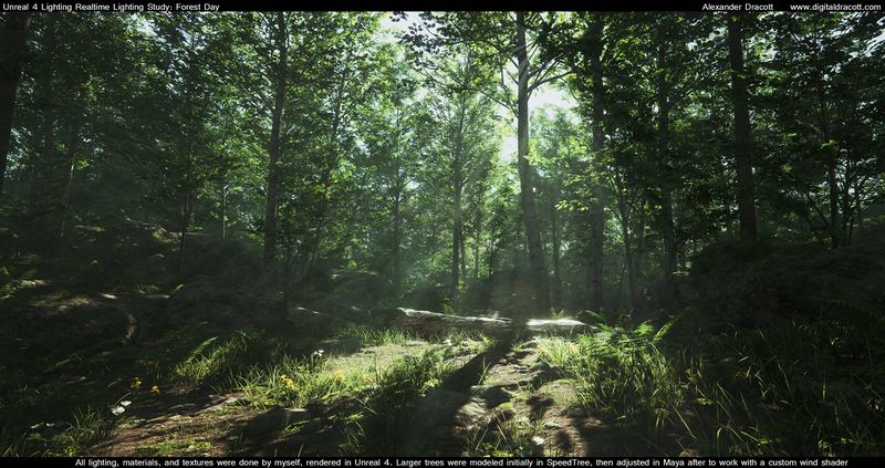 File:AlexDracott ForestLightingStudy.jpg