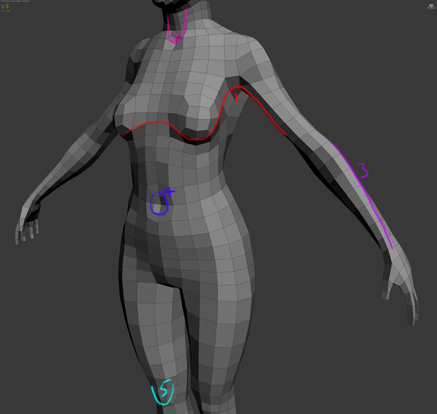 File:Basemesh loops 2.png