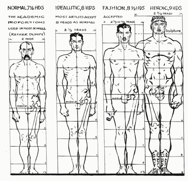 File:Ideal proportions variations.gif
