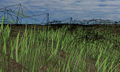 Thumbnail for version as of 16:13, 1 March 2015