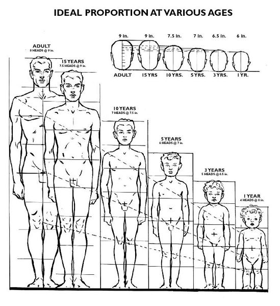 File:Ideal proportions ages.jpg
